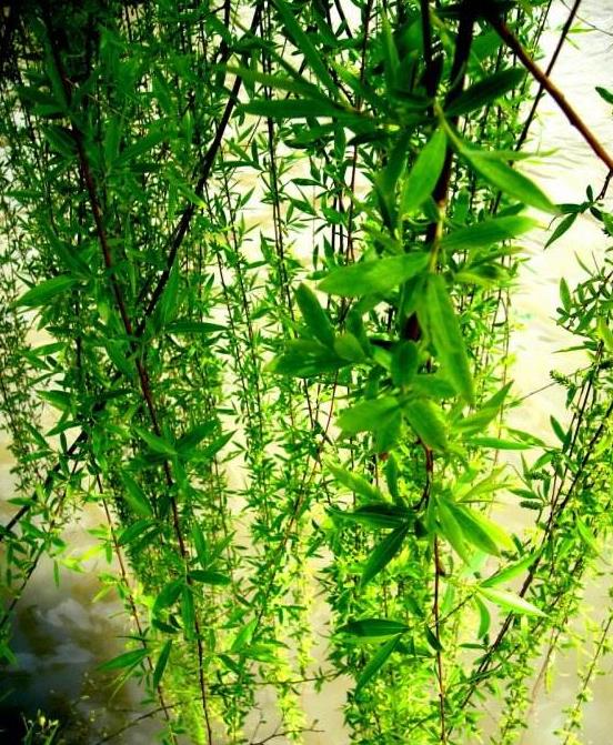 ���������һ�°����� �������������صĶ���