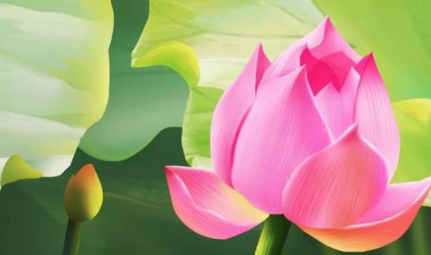 ����������һ�� �����ڵ������ͷ��׽���