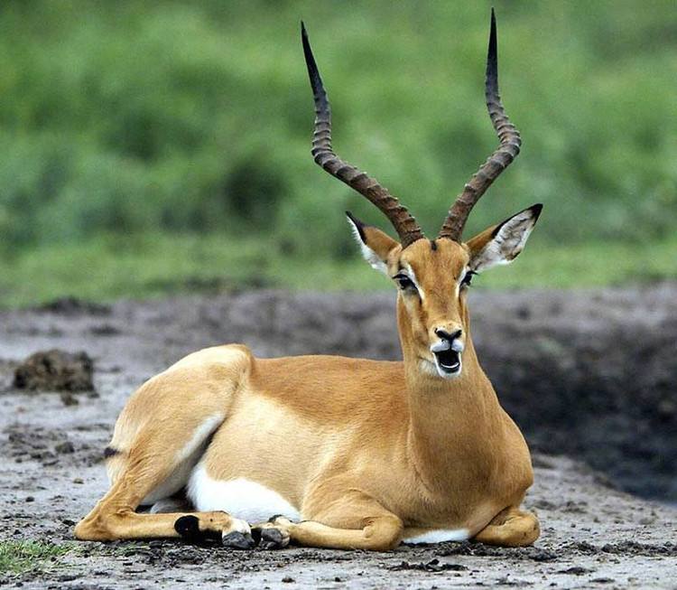 ������ΪʲôҪǨ�� Ǩ�㻹���ӵ��й�ϵ��