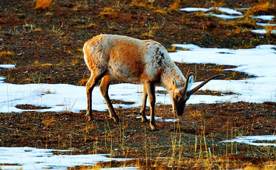 ������ΪʲôҪǨ�� Ǩ�㻹���ӵ��й�ϵ��