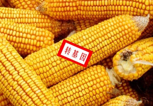 ��ηֱ�ת��������ͼ ���ת�������׵ķ���