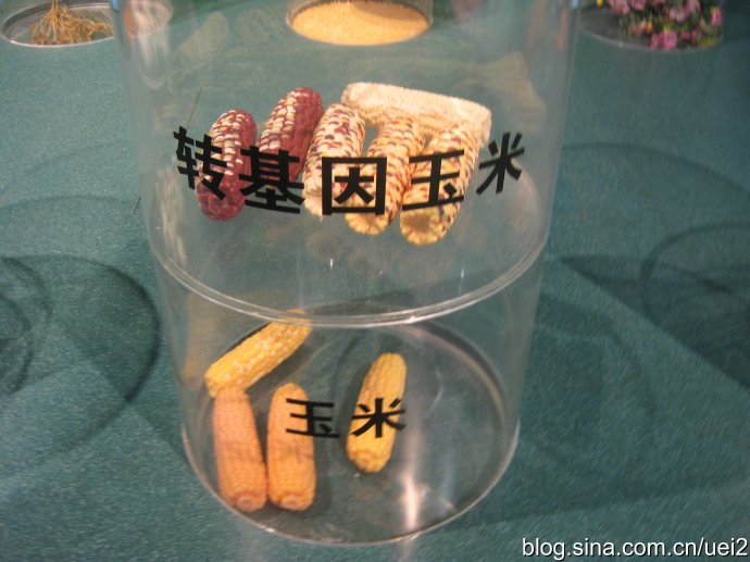 ��ηֱ�ת��������ͼ ���ת�������׵ķ���