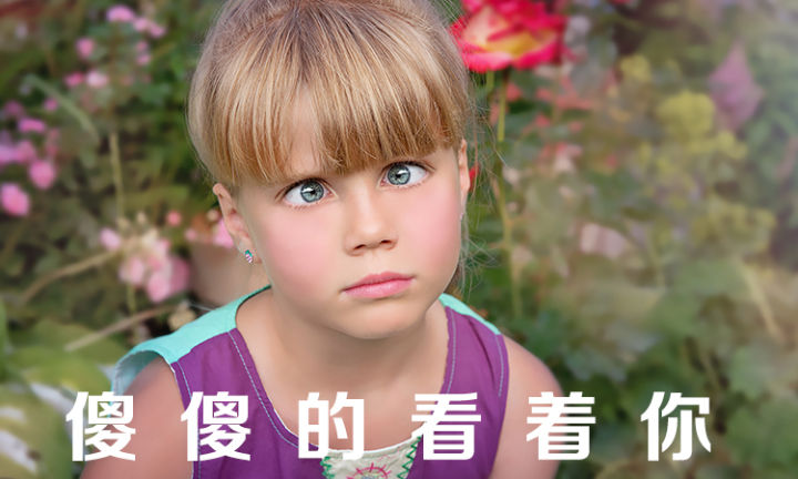 �������������ϼ�� �ܶ��˾����������Ƕ�����