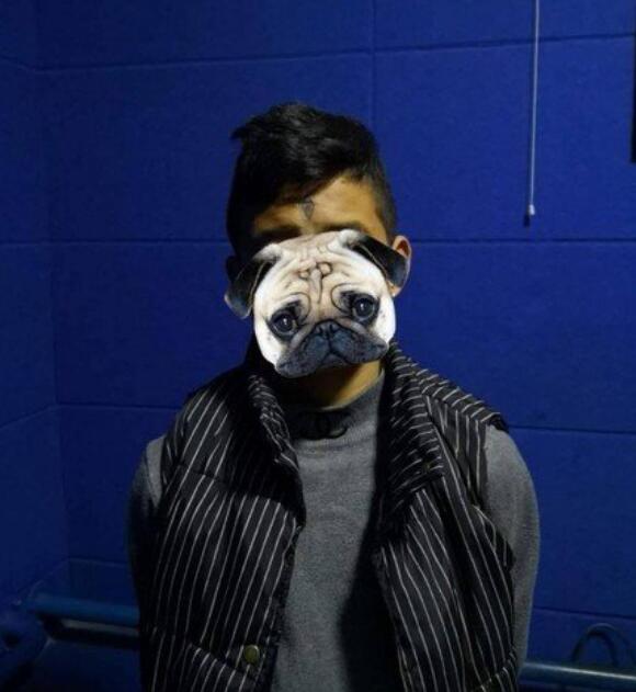 �����۵����ܿ���ʲô ӵ����Ԥ��δ���ĳ�����