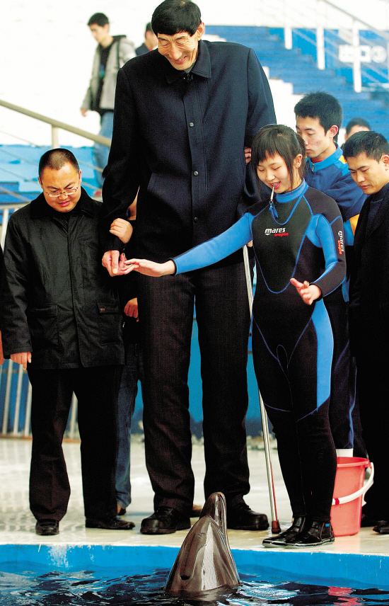 ��ϲ˳���߶����� ��ϲ˳�Ⱥ���