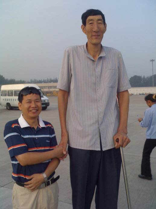 ��ϲ˳���߶����� ��ϲ˳�Ⱥ���