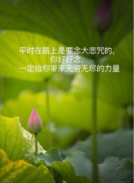 ��˵���񼲲���ħ���� ������Ļ��Ǽٵ�