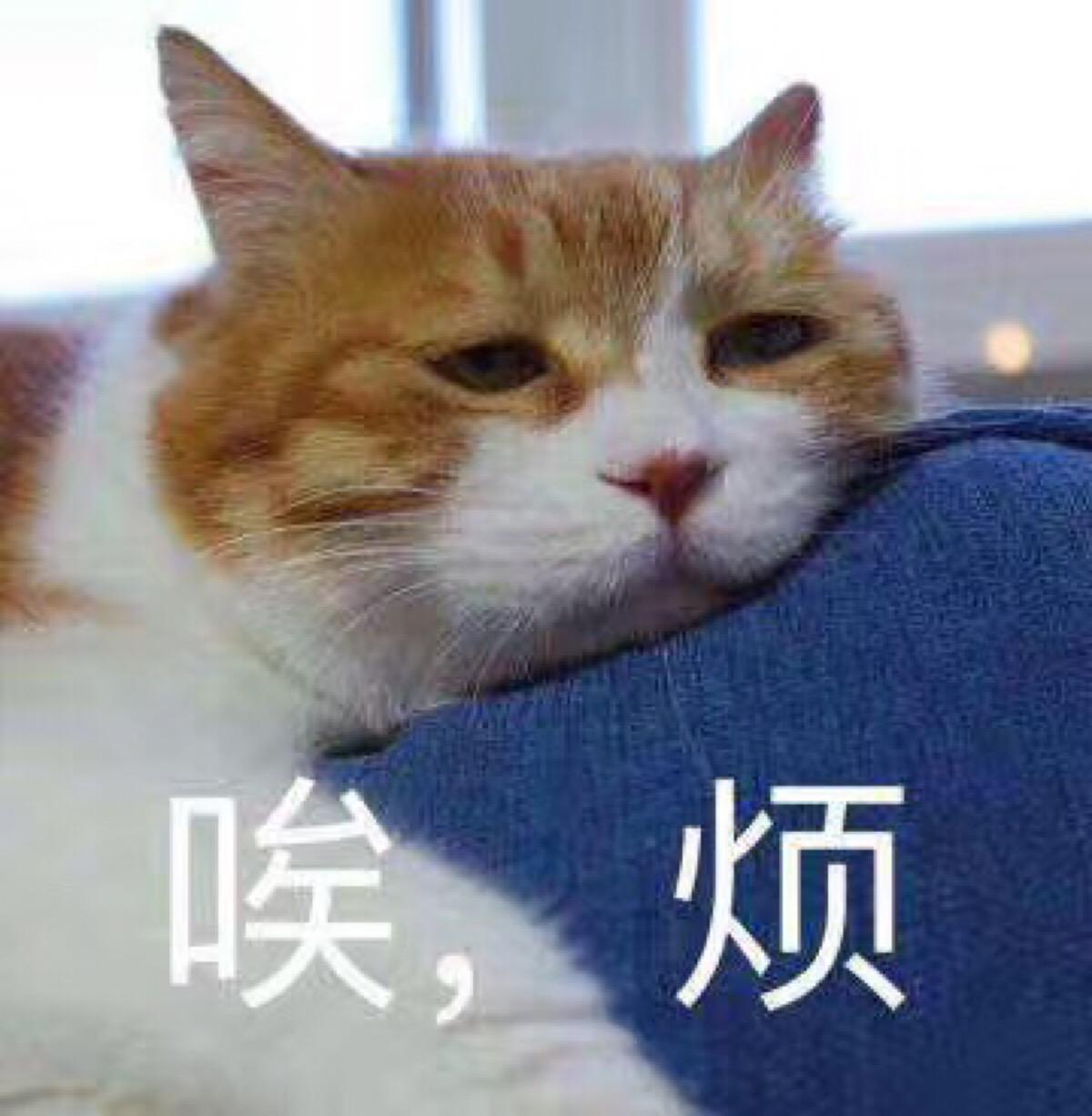女生给你发害是什么意思 别人回你害该怎么回复