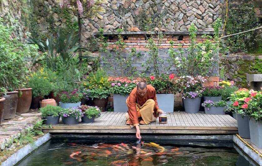 �������Ժ����˿�˭ �����Ժ�Ҫ��˭���չ�����