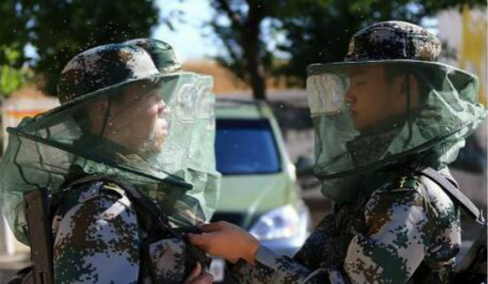 �ó�����Ѳ�߱� �ó���Űһ����������50ֻʮ�ֲֿ�