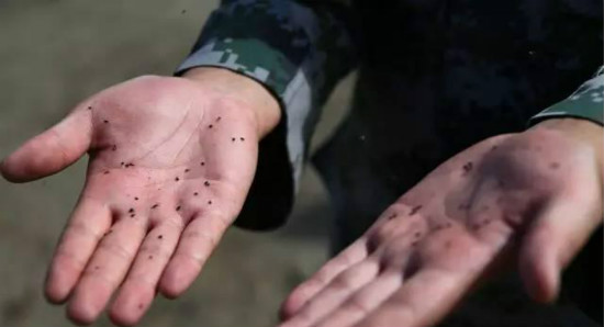 �ó�����Ѳ�߱� �ó���Űһ����������50ֻʮ�ֲֿ�