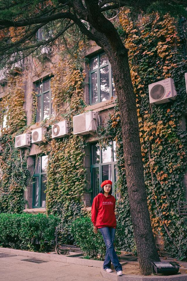 ����������Ƭ���� ����״���