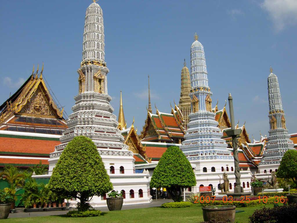 ̩��ammy��˭ �Ը�Ů�Գ���Ϊ��ͼ