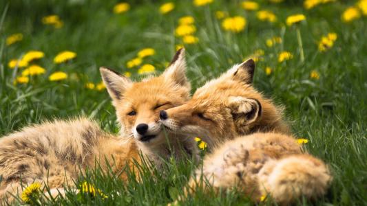 ��������������ȵ����ݽ��� ���������Ϊʲôû�н��