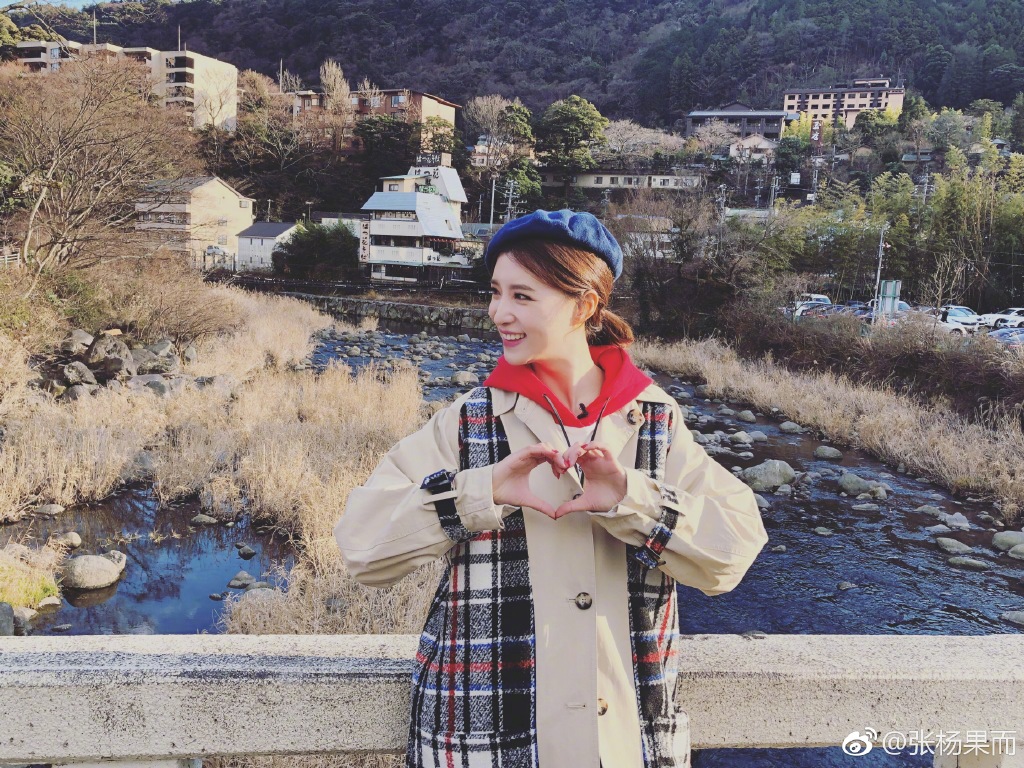 ����������ֵ����� ���������ʲô