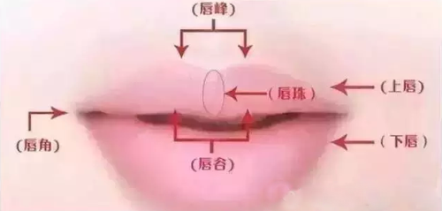 �д�����������и��� �������Լ������������