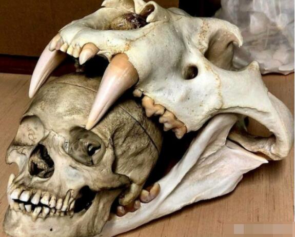 �˵�ҧ�����Ƕ��ٹ��� �൱��ʲô����