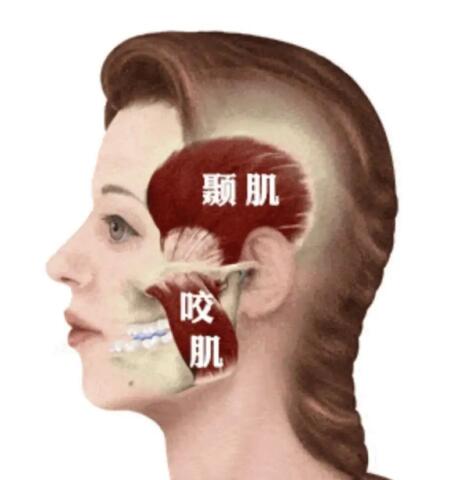 �˵�ҧ�����Ƕ��ٹ��� �൱��ʲô����