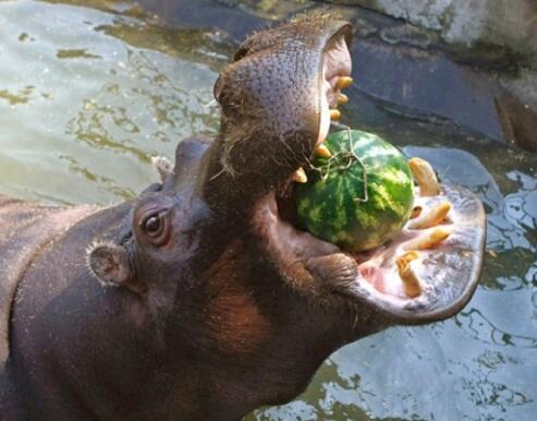 �˵�ҧ�����Ƕ��ٹ��� �൱��ʲô����