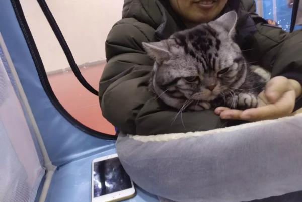 ����������Ϊʲô���������� ����ʲô��λְҵѡ����