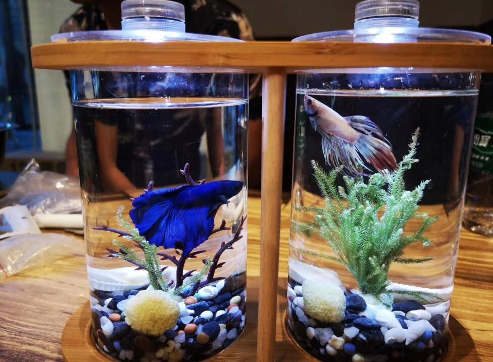 ��������ʲô��ˮ�ò��� ������Ҫע��ʲô