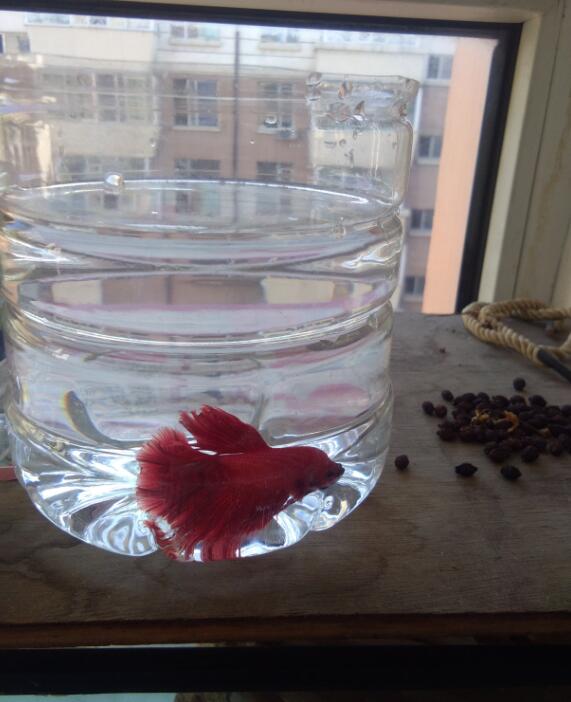 ��������ʲô��ˮ�ò��� ������Ҫע��ʲô