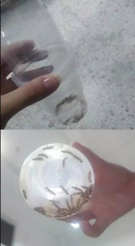 �а��ϵķ��ӻ���ס�� ������ְ�������ô����