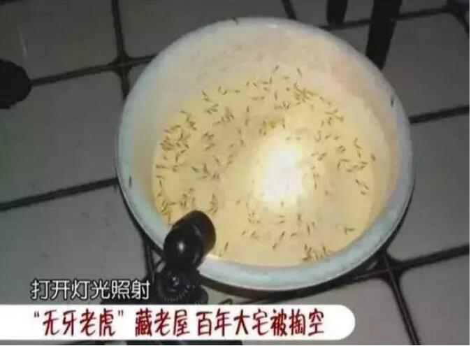 �а��ϵķ��ӻ���ס�� ������ְ�������ô����