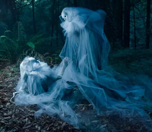 �������Ͷ̥�� �������˻�Ͷ̥ת���Ĵ���