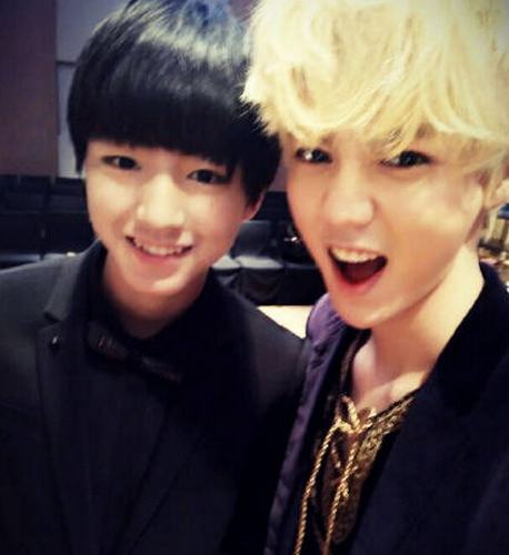 ¹��ɹ����������������ս ¹��������������л��ڶԷ�ǽ��