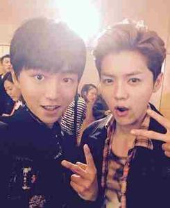 ¹��ɹ����������������ս ¹��������������л��ڶԷ�ǽ��