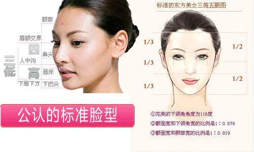 ��׼����ʲô���� ��׼���͵Ļƽ����ͼ��������