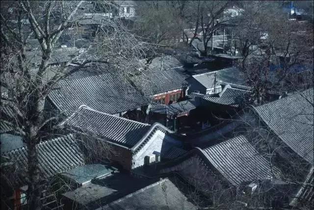 陈丽华是慈禧的什么人和溥仪什么关系 她为什么出生的颐和园