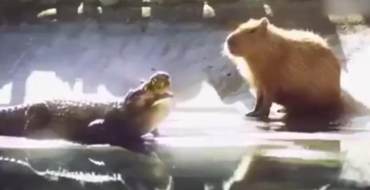 Ϊʲô���㶼����ˮ�����������ʲô ˮ�����й����Ϸ���