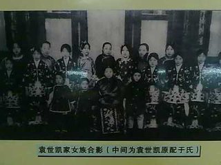 袁世凯何时实授直隶总督 袁世凯最漂亮的老婆图