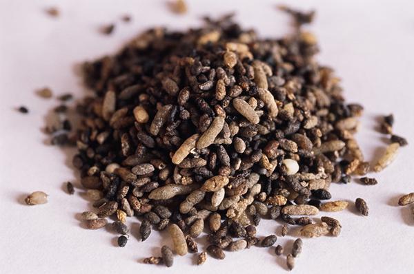 ���ʺ������ʺ���� �������������ʲô����