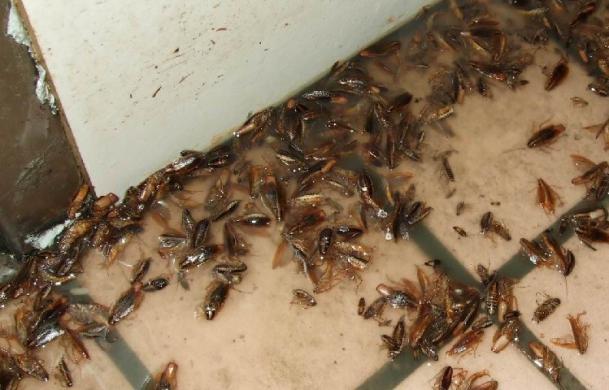 ���ʺ������ʺ���� �������������ʲô����