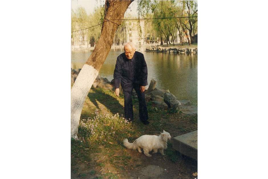 养猫的男生很恶心都是渣男真假 养猫的男生都是Gay纯属扯淡