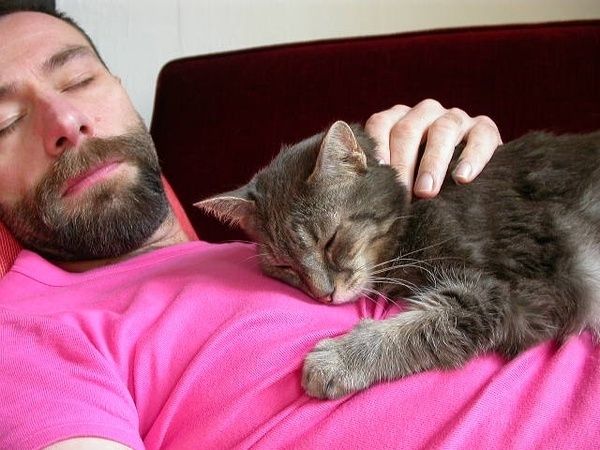 养猫的男生很恶心都是渣男真假 养猫的男生都是Gay纯属扯淡