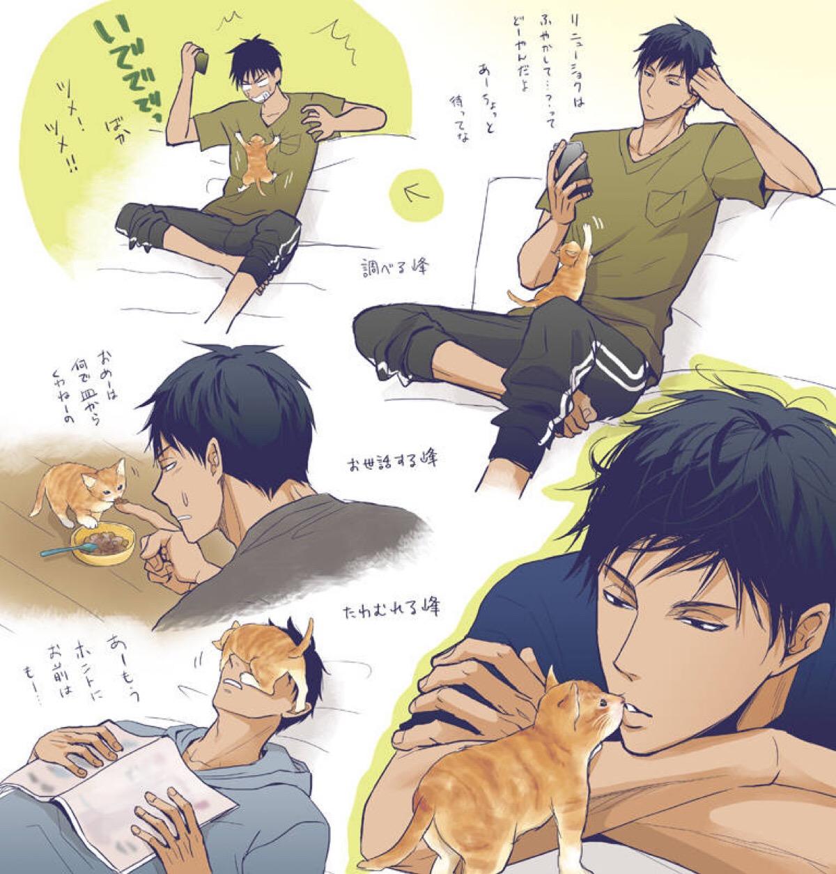 养猫的男生很恶心都是渣男真假 养猫的男生都是Gay纯属扯淡