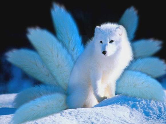 ���ϴ����ɵ��˵��ص� �ݺ��ɵĲ������Σ������Щ