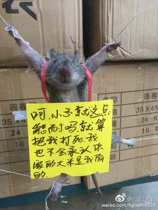 �����廨�����ǰ�һڹ��� ���ѣ���д��������ֻ��ä��