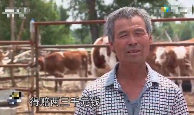 ������ţ�����Ǯһ�� Ϊɶ�й�ţ���������