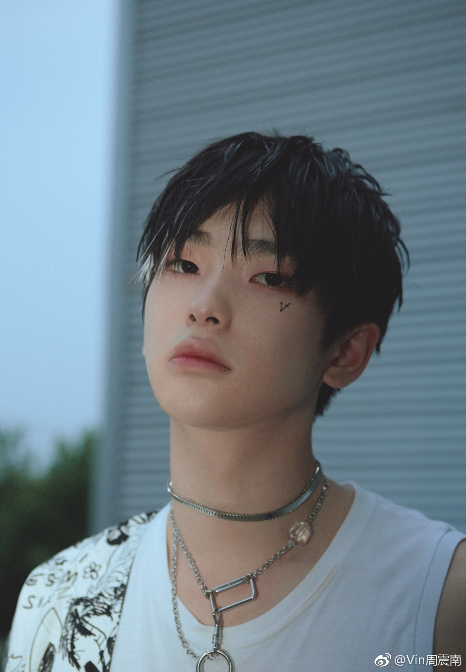 �����Ϻͳ�ѧ����ʲô��ϵ ����ͥ������������ΪʲôӢ����ô��