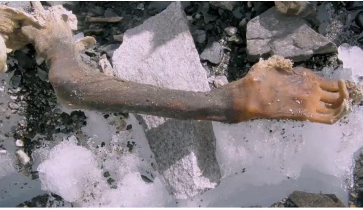 ����������˵�ͼƬ ���������˻ḯ����