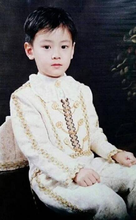 车银优为什么叫脸蛋天才、车东九、阿童木 车银优童年照片