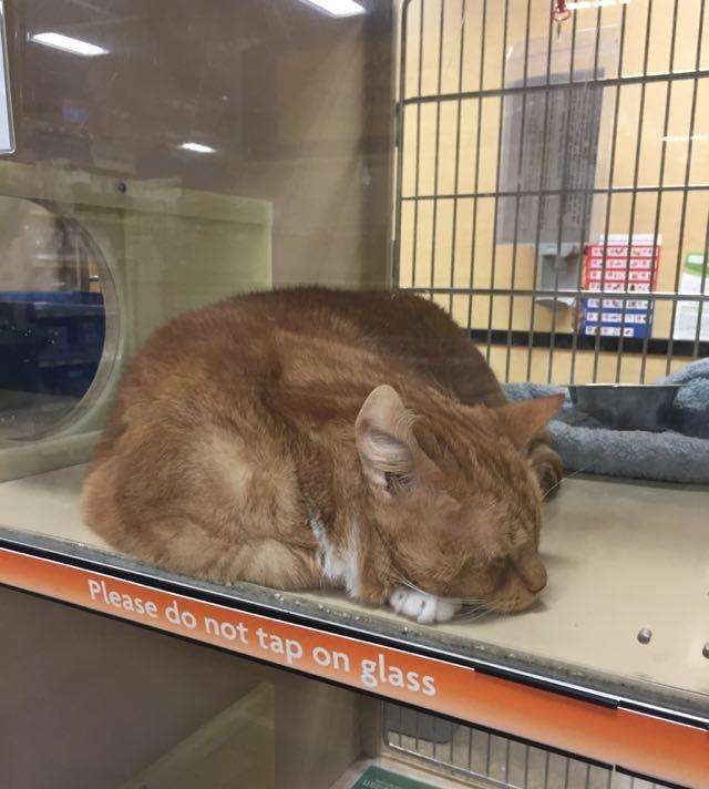 ��Ժè��ʲô��˼ ��Ժè��ô�ж�