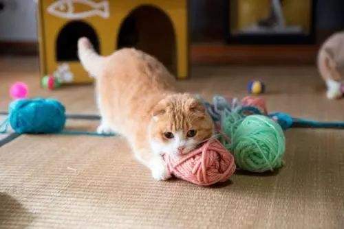 ��Ժè��ʲô��˼ ��Ժè��ô�ж�