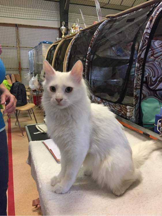 ��Ժè��ʲô��˼ ��Ժè��ô�ж�