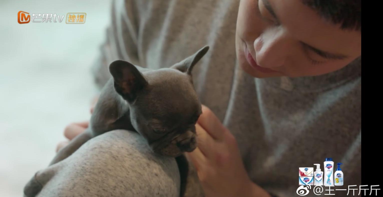 ����ũ��������Ĺ���ʲôƷ�� ���������ڶ����Լ�������